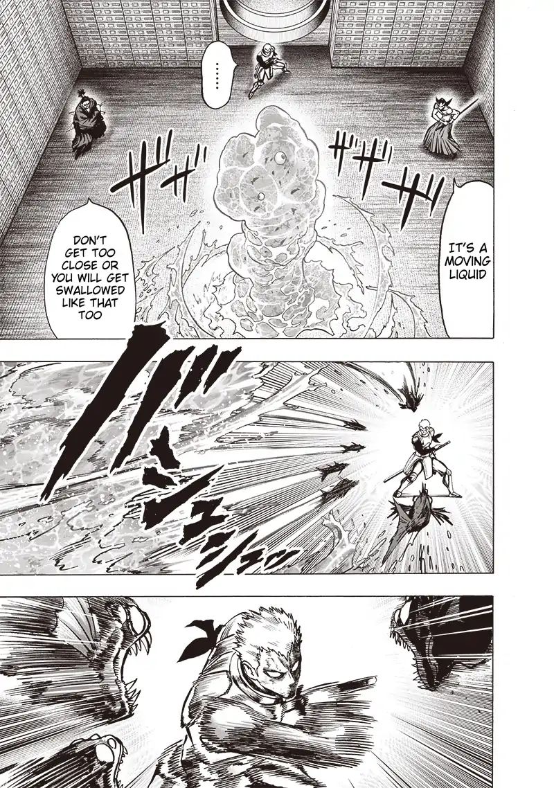 One Punch Man, onepunchman Chapter 166 - Page 17 in English