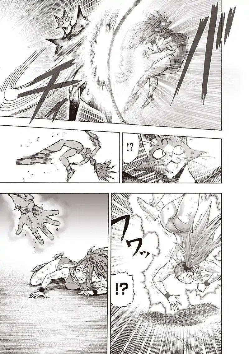 One Punch Man, onepunchman Chapter 169 - Page 3 in English