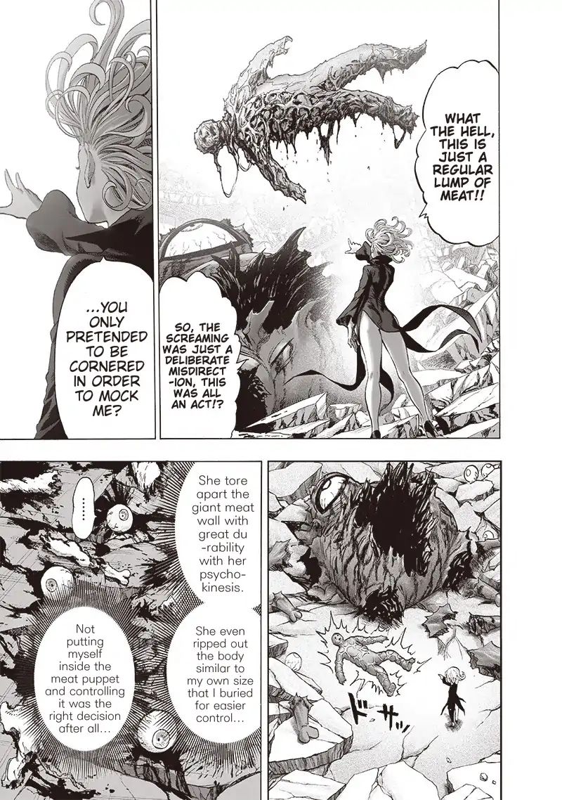 One Punch Man, onepunchman Chapter 176 - Page 14 in English