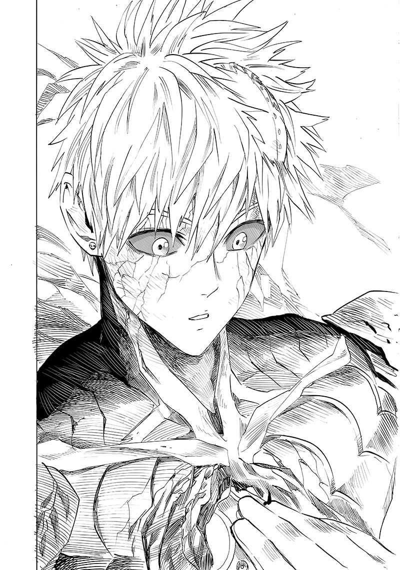 One Punch Man, onepunchman Chapter 212 - Page 27 in English