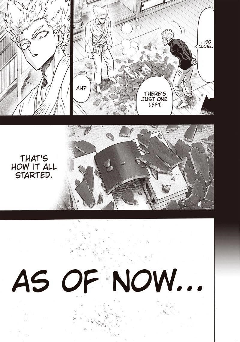 One Punch Man, onepunchman Chapter 217 - Page 15 in English