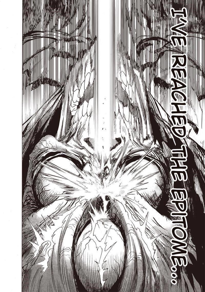 One Punch Man, onepunchman Chapter 217 - Page 16 in English