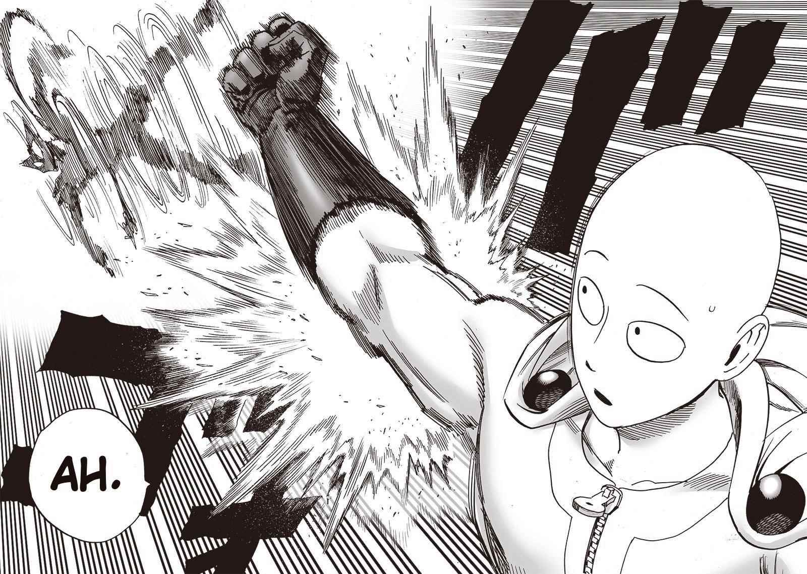 One Punch Man, onepunchman Chapter 219 - Page 17 in English