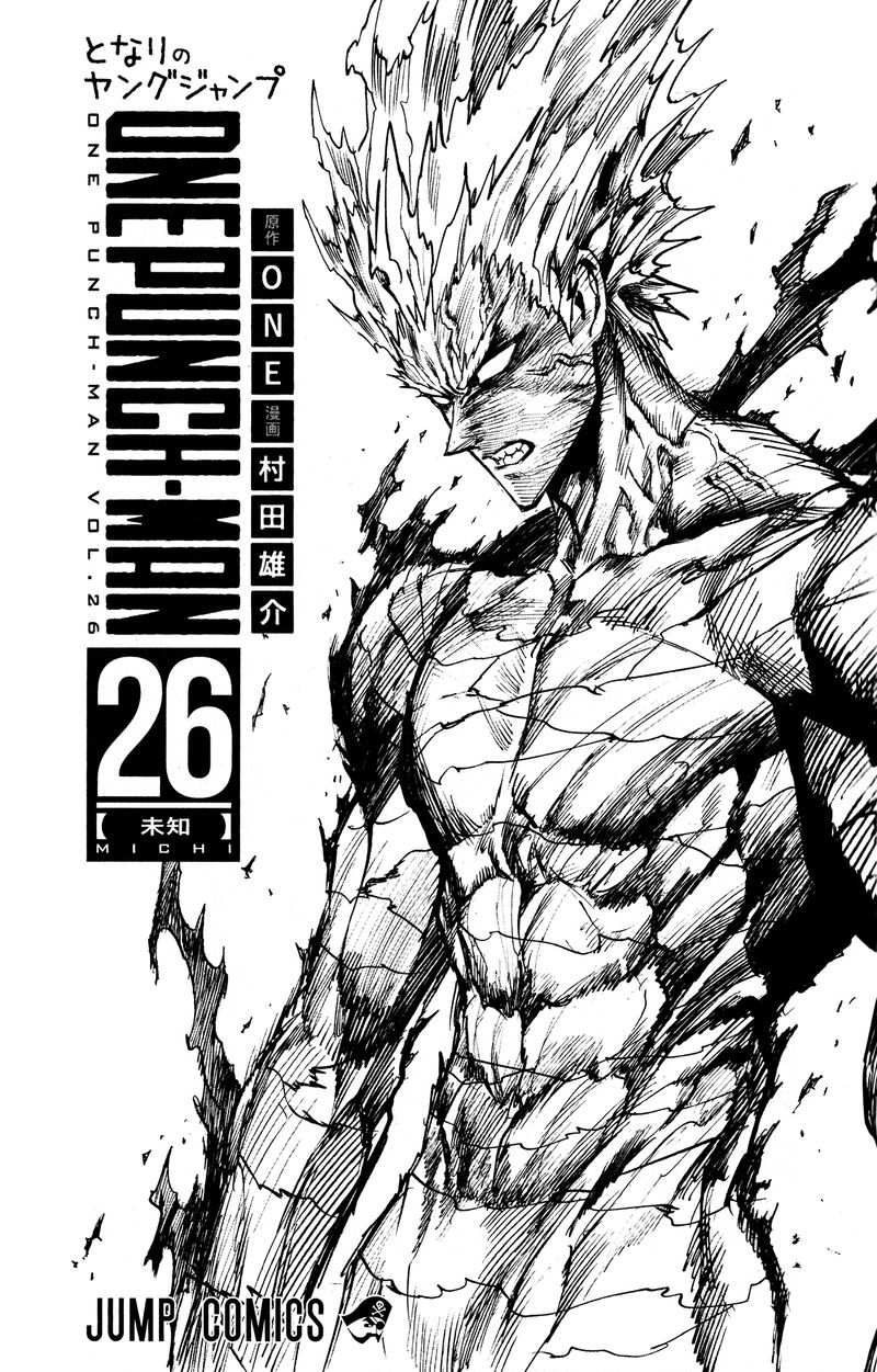 One Punch Man, onepunchman Chapter 226 - Page 11 in English