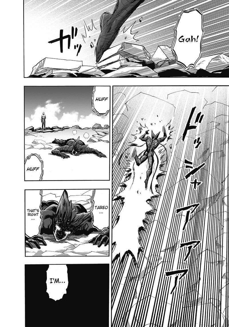 One Punch Man, onepunchman Chapter 227 - Page 41 in English