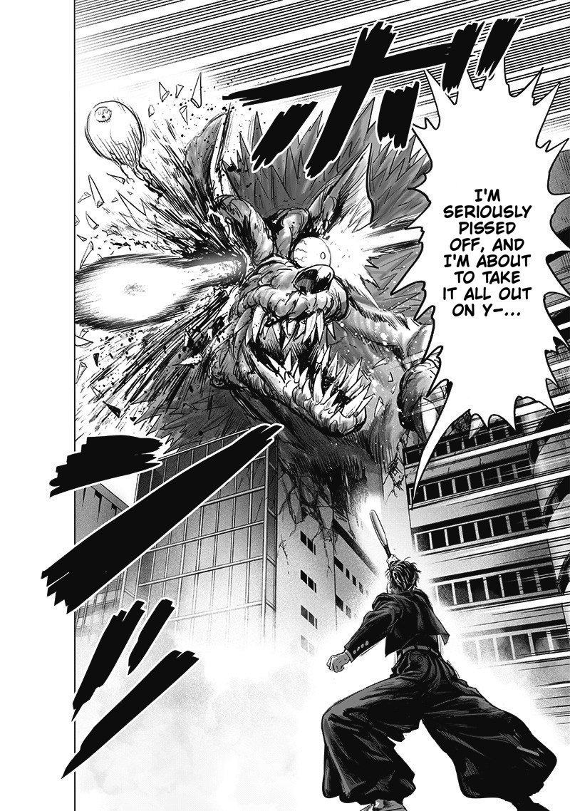One Punch Man, onepunchman Chapter 239 - Page 29 in English