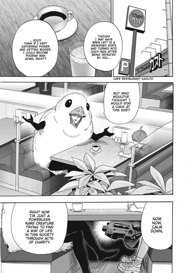 One Punch Man, onepunchman Chapter 244 - Page 11 in English