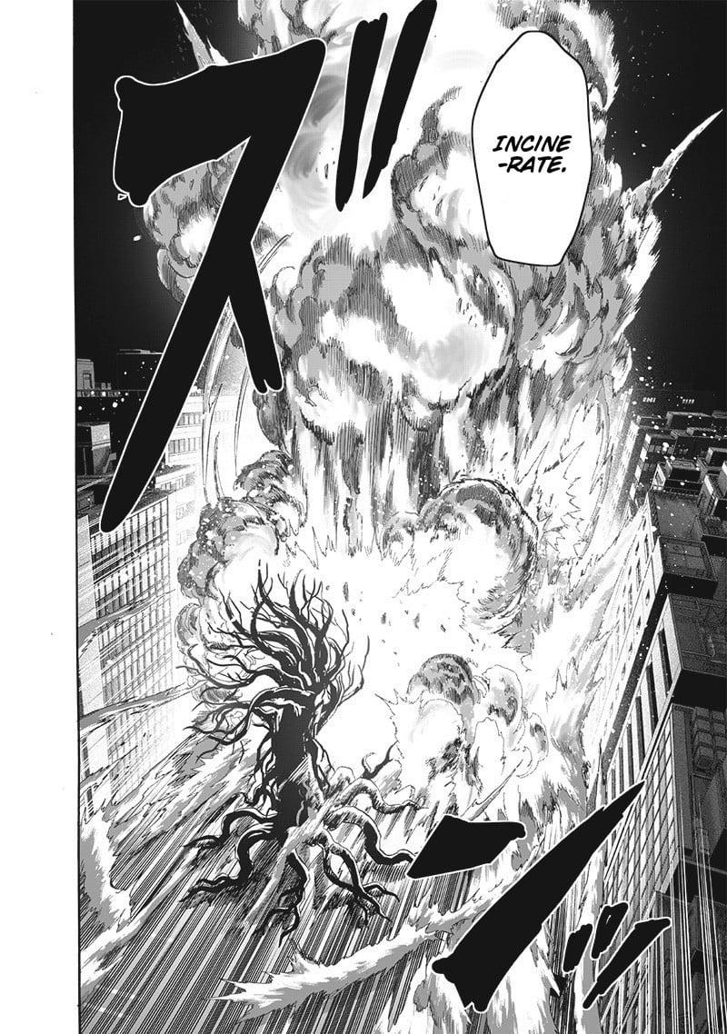 One Punch Man, onepunchman Chapter 244 - Page 24 in English