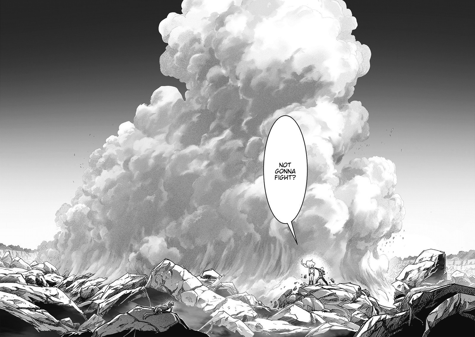 One Punch Man, onepunchman Chapter 245 - Page 14 in English