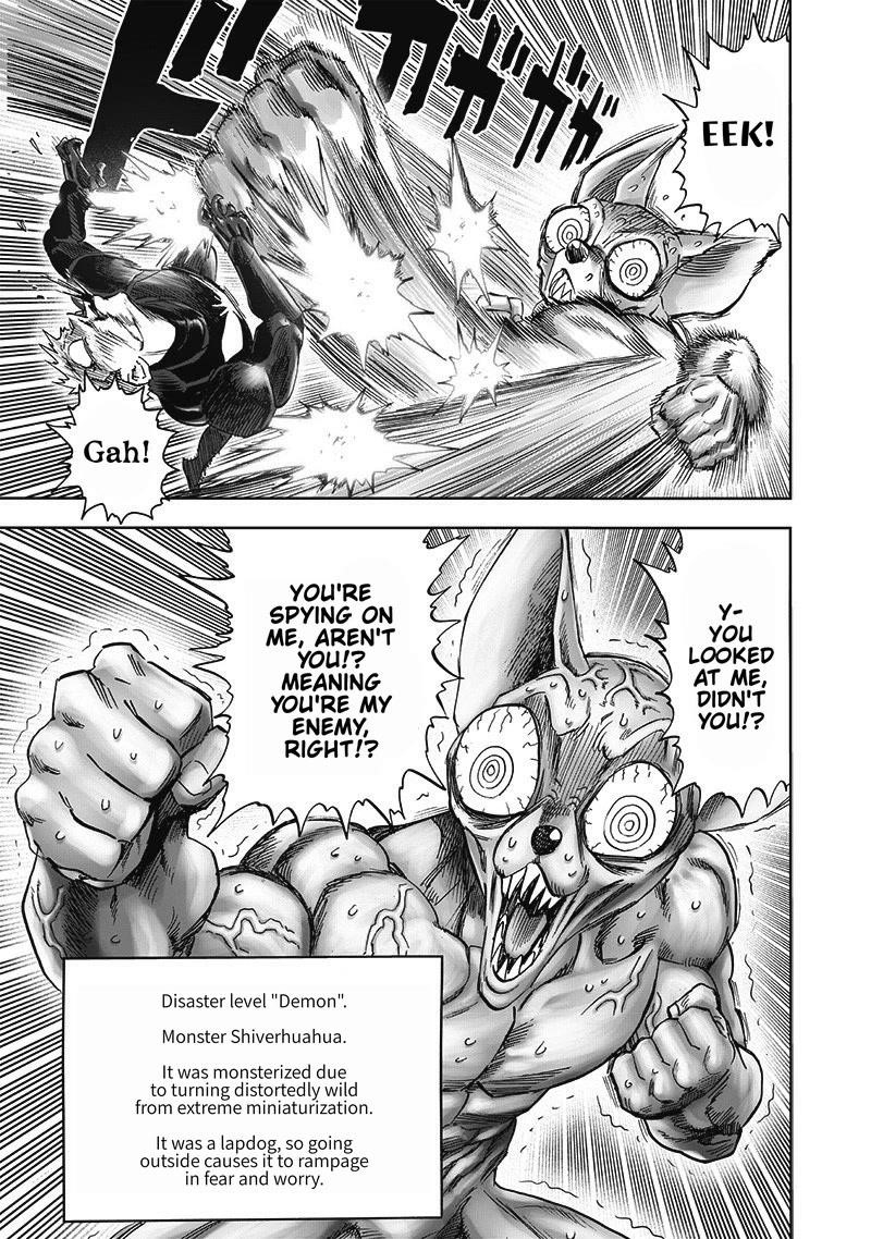 One Punch Man, onepunchman Chapter 246 - Page 17 in English