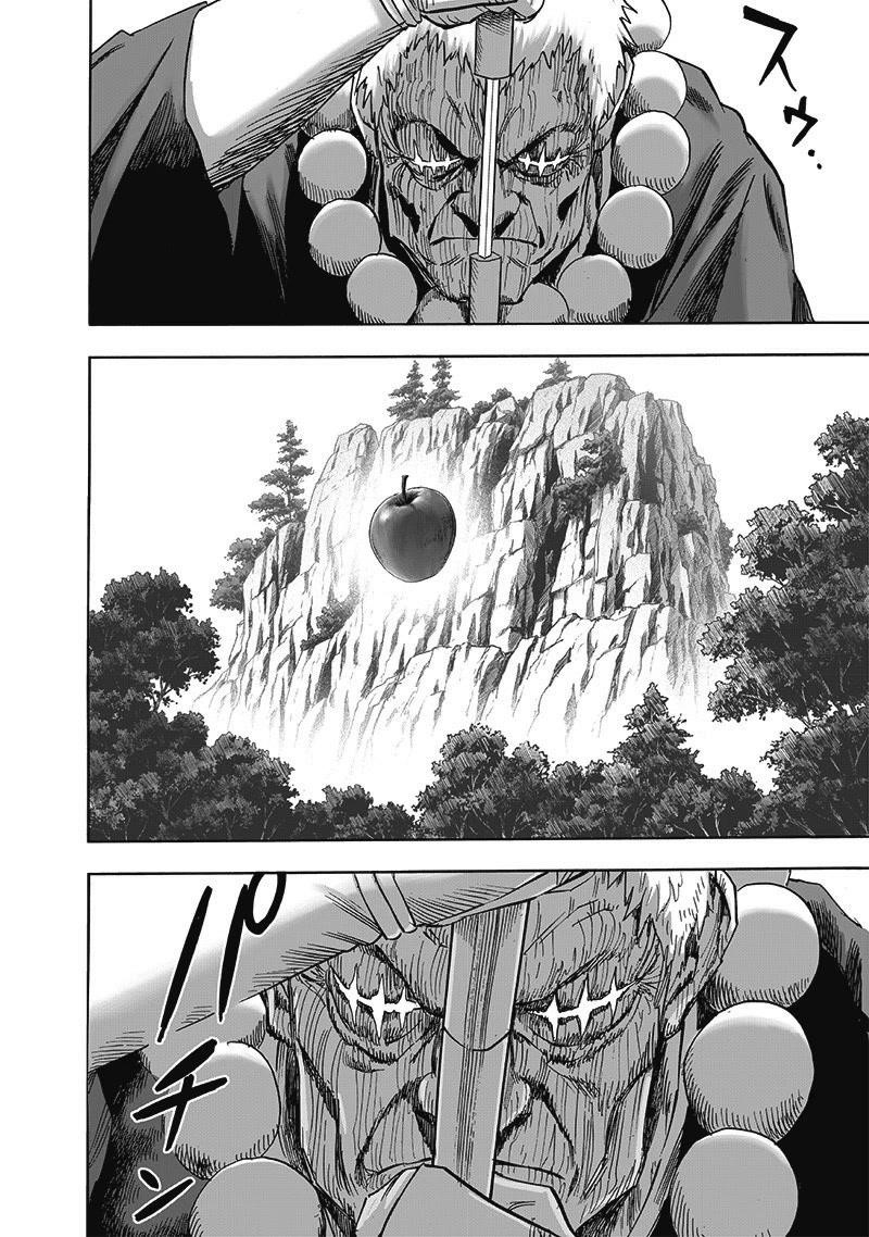 One Punch Man, onepunchman Chapter 248 - Page 14 in English