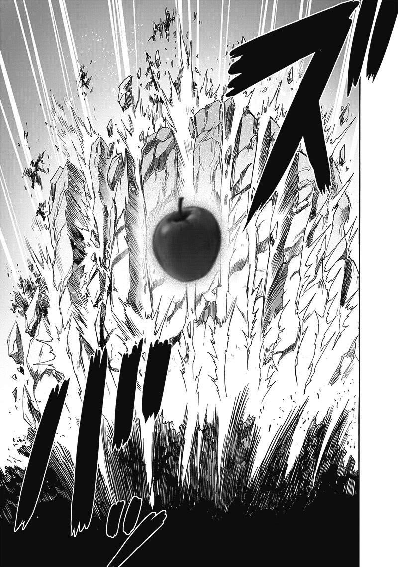 One Punch Man, onepunchman Chapter 248 - Page 15 in English