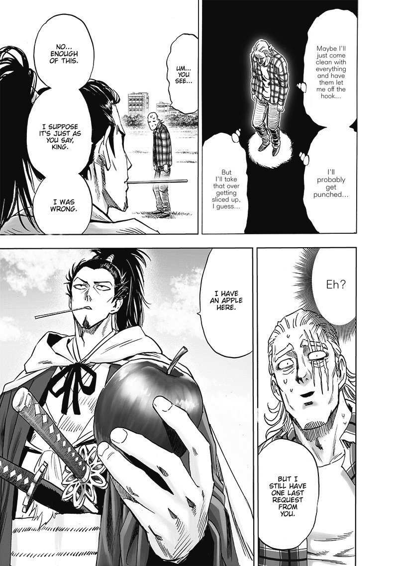 One Punch Man, onepunchman Chapter 249 - Page 17 in English