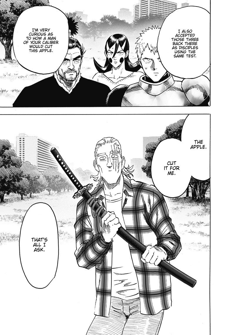 One Punch Man, onepunchman Chapter 249 - Page 19 in English