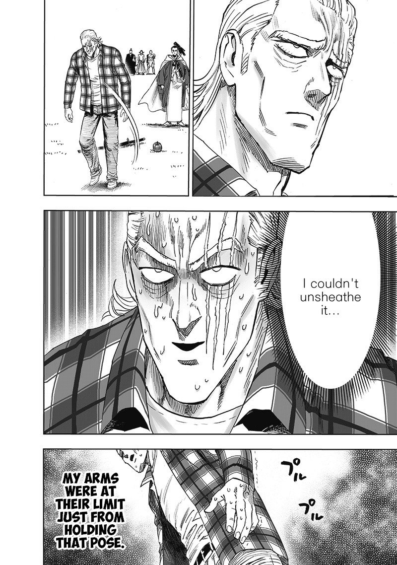 One Punch Man, onepunchman Chapter 249 - Page 22 in English
