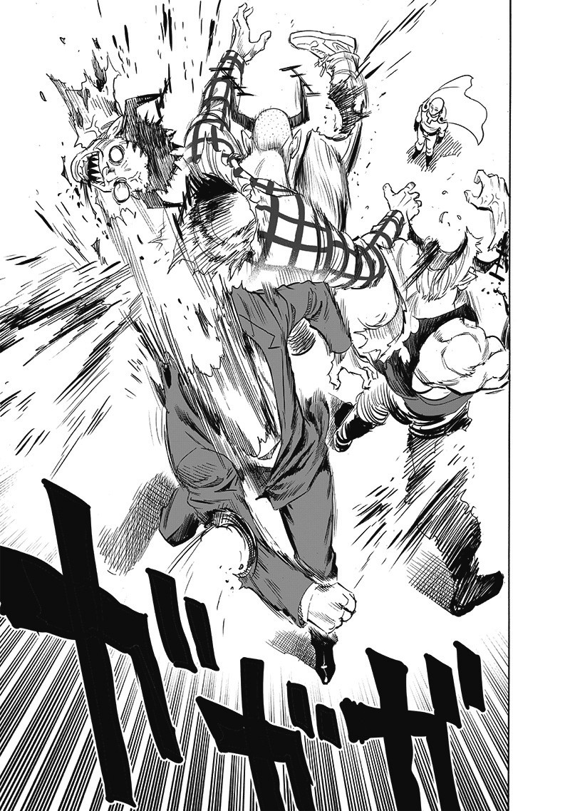 One Punch Man, onepunchman Chapter 254 - Page 28 in English
