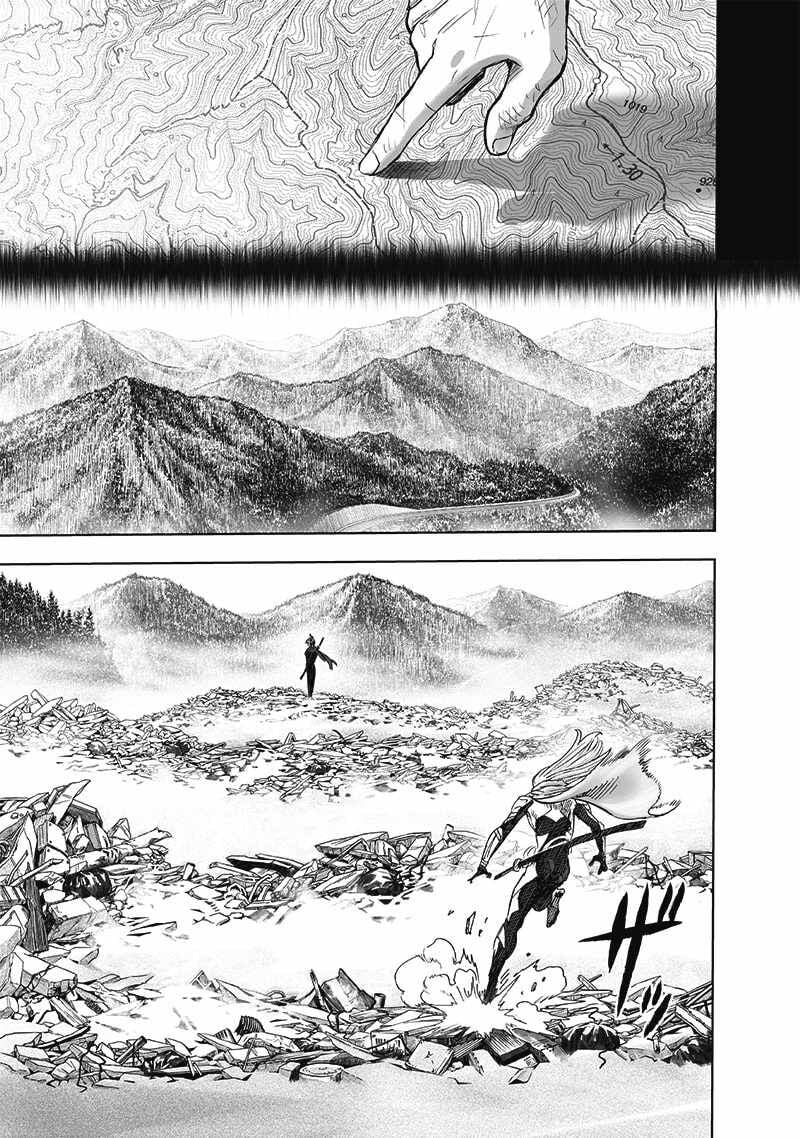 One Punch Man, onepunchman Chapter 257 - Page 19 in English