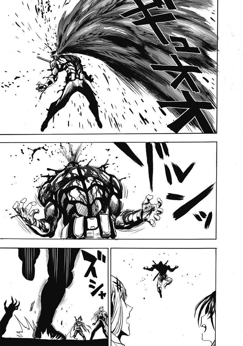 One Punch Man, onepunchman Chapter 261 - Page 13 in English