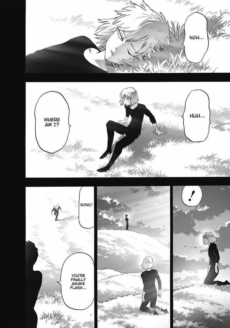 One Punch Man, onepunchman Chapter 262 - Page 20 in English