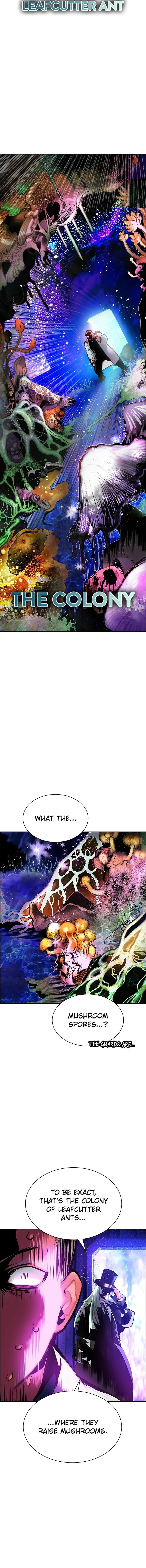 Jungle Juice Chapter 203 - Page 3 in English