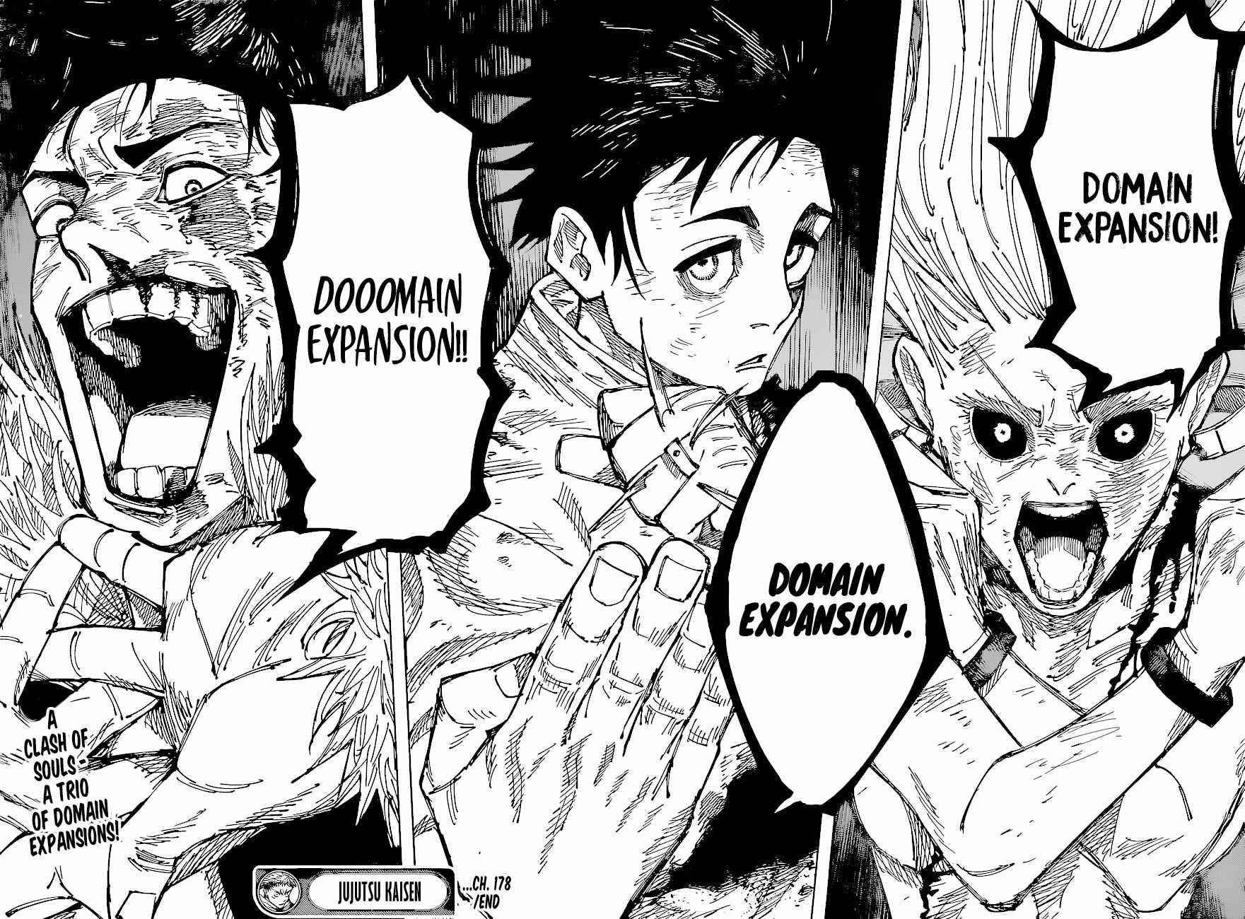 JUJUTSU KAISEN Chapter 178 - Page 17 in English