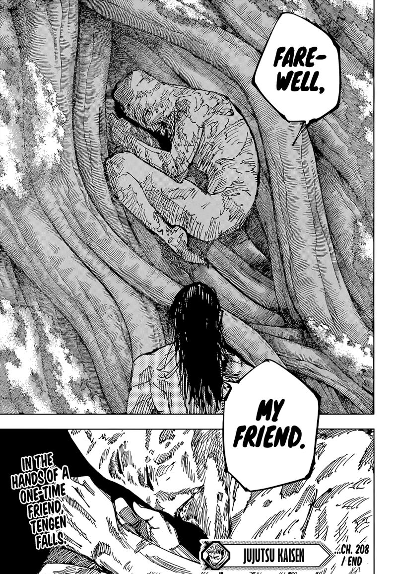 JUJUTSU KAISEN Chapter 208 - Page 17 in English