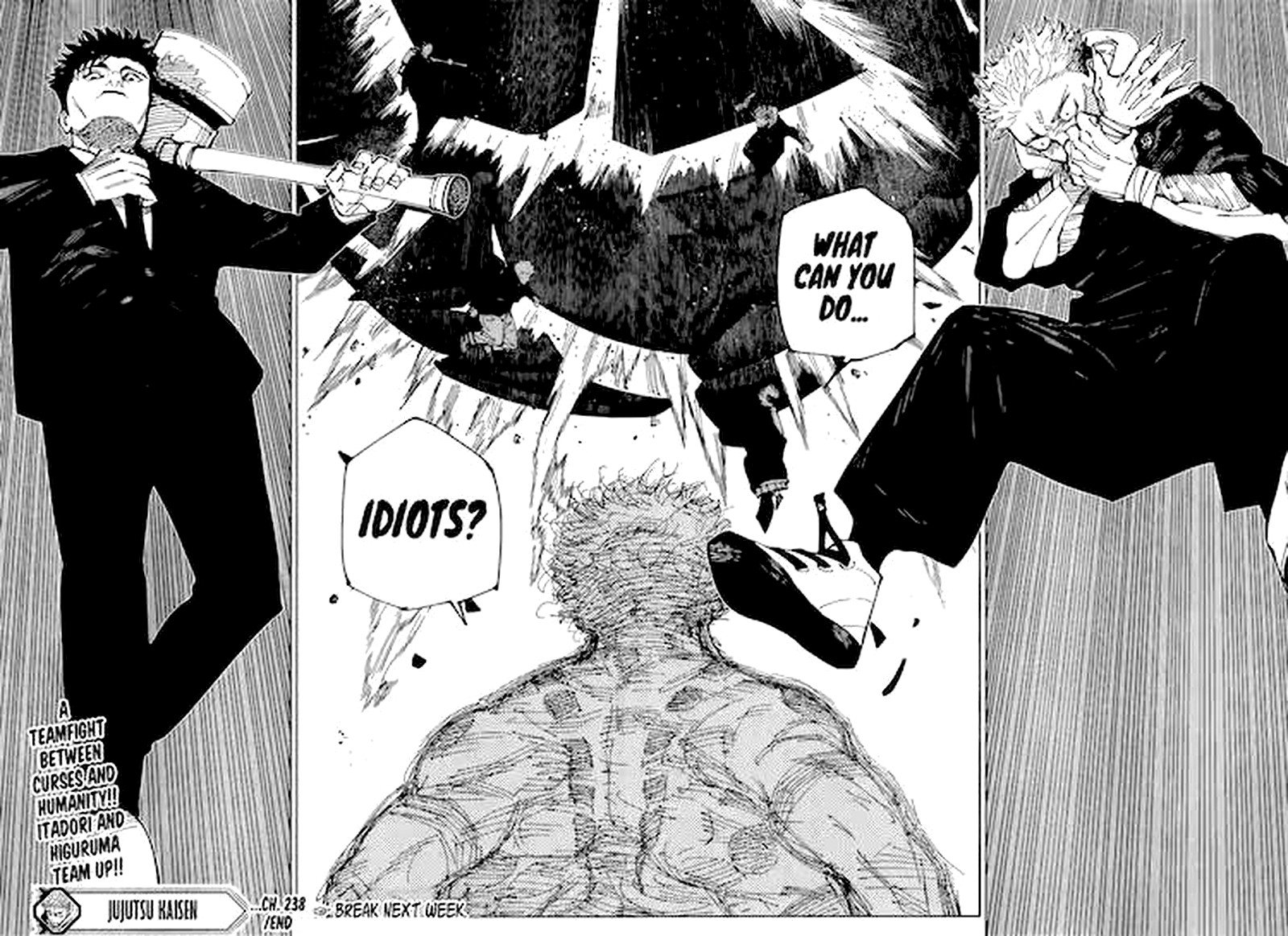 JUJUTSU KAISEN Chapter 238 - Page 17 in English