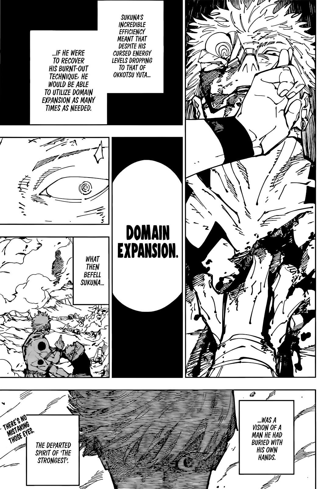 JUJUTSU KAISEN Chapter 260 - Page 17 in English