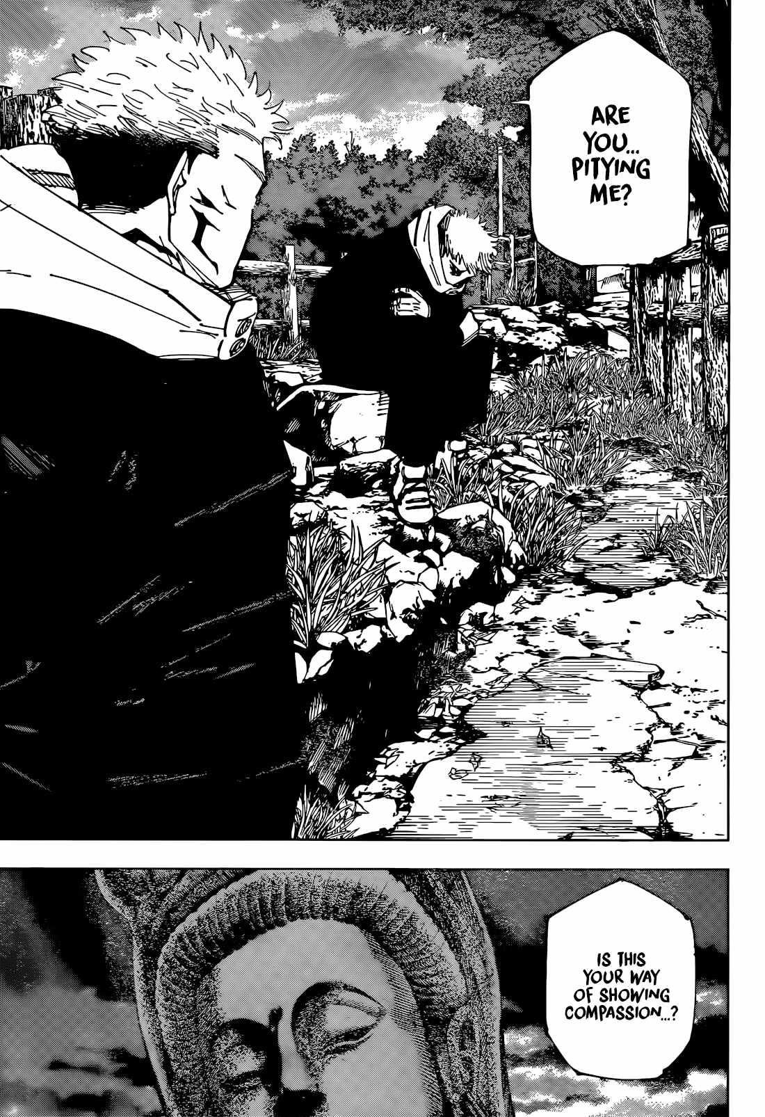 JUJUTSU KAISEN Chapter 265 - Page 17 in English
