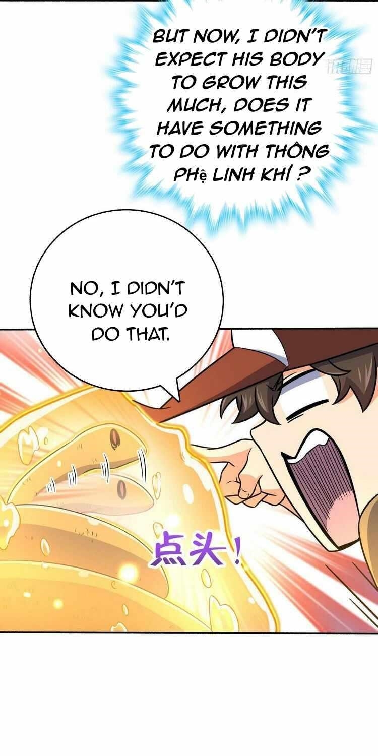 Spare Me, Great Lord! Chapter 242 - Page 16 in English