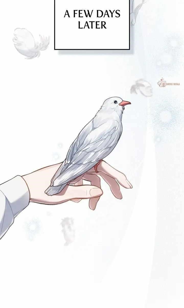 Reborn as the Enemy Prince Chapter 86 - Page 74 in English
