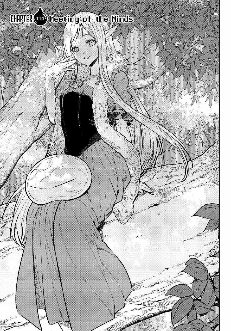 Tensei Shitara Slime Datta Ken Chapter 114 - Page 13 in English