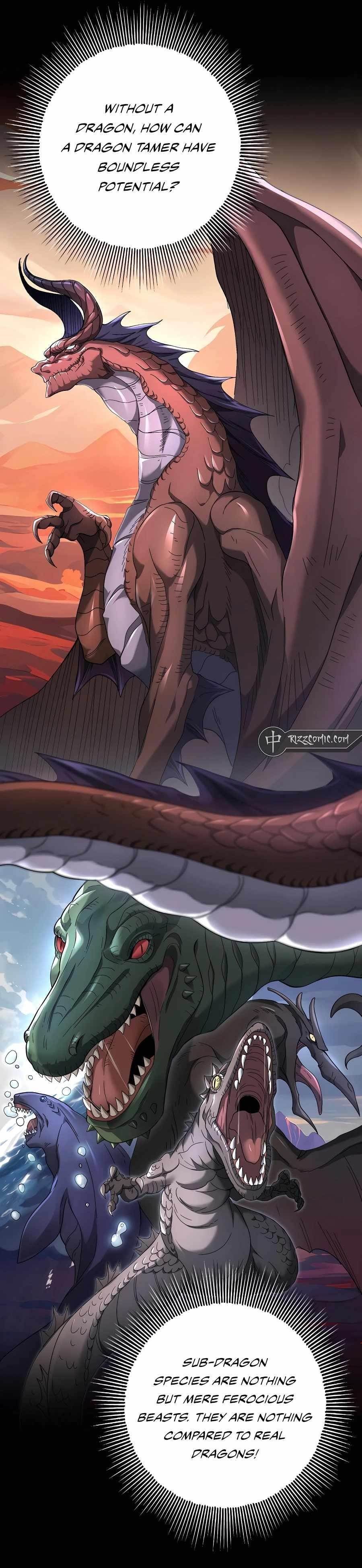 I Got the Weakest Class, Dragon Tamer!? Chapter 2 - Page 4 in English