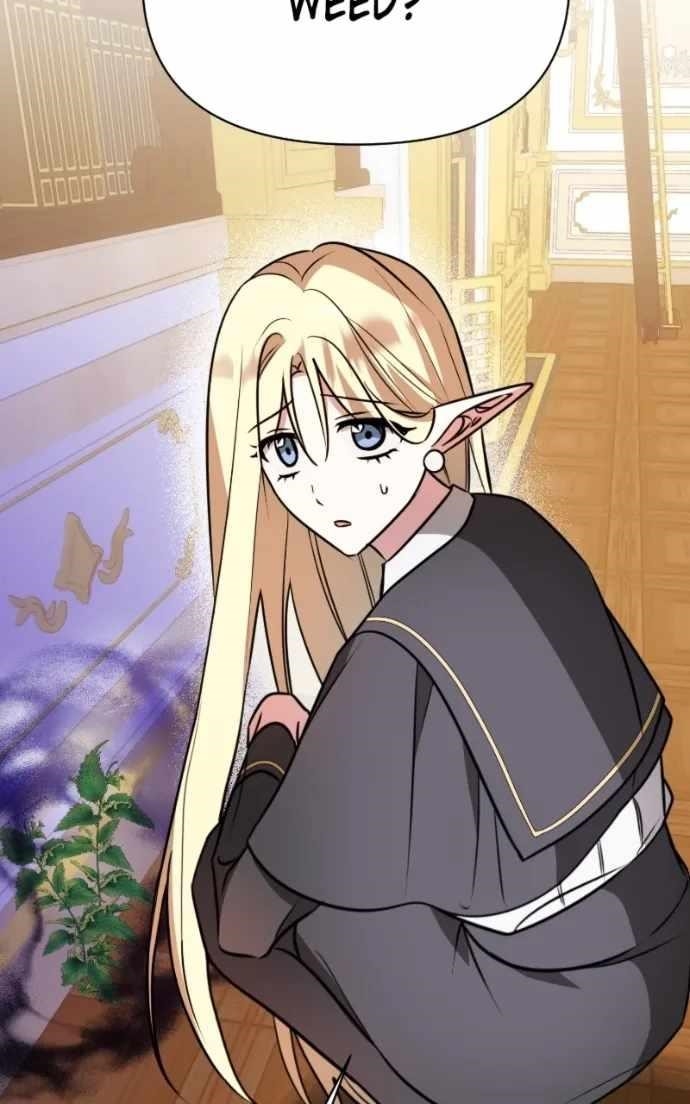 The Academy Is Ruined Chapter 66 - Page 27 in English