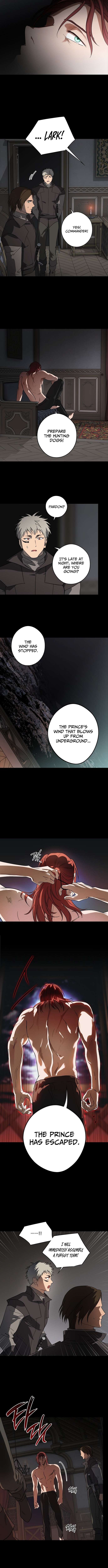 Blinded By The Setting Sun Chapter 216 - Page 8 in English