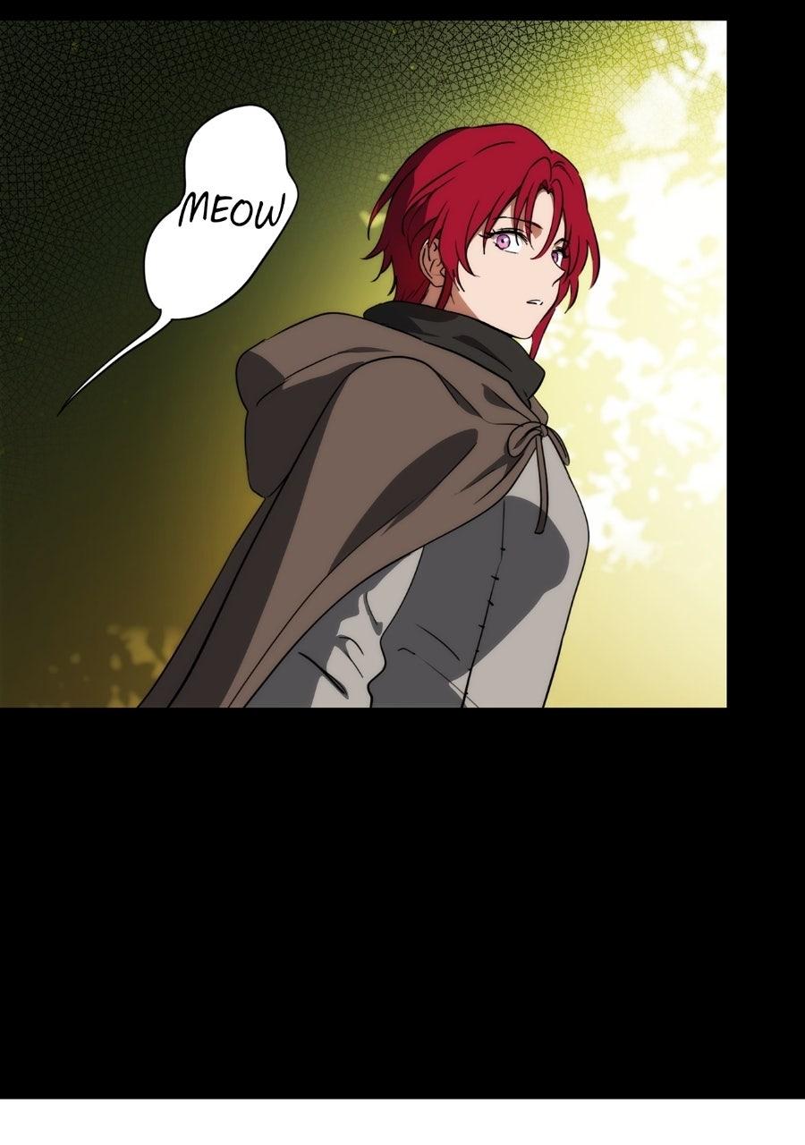 Blinded By The Setting Sun Chapter 228 - Page 40 in English