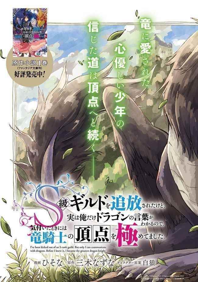 I’ve Been Kicked Out of an S-Rank Guild. But Only I Can Communicate With Dragons. Before I Knew It, I Became the Greatest Dragon Knight Chapter 1 - Page 3 in English