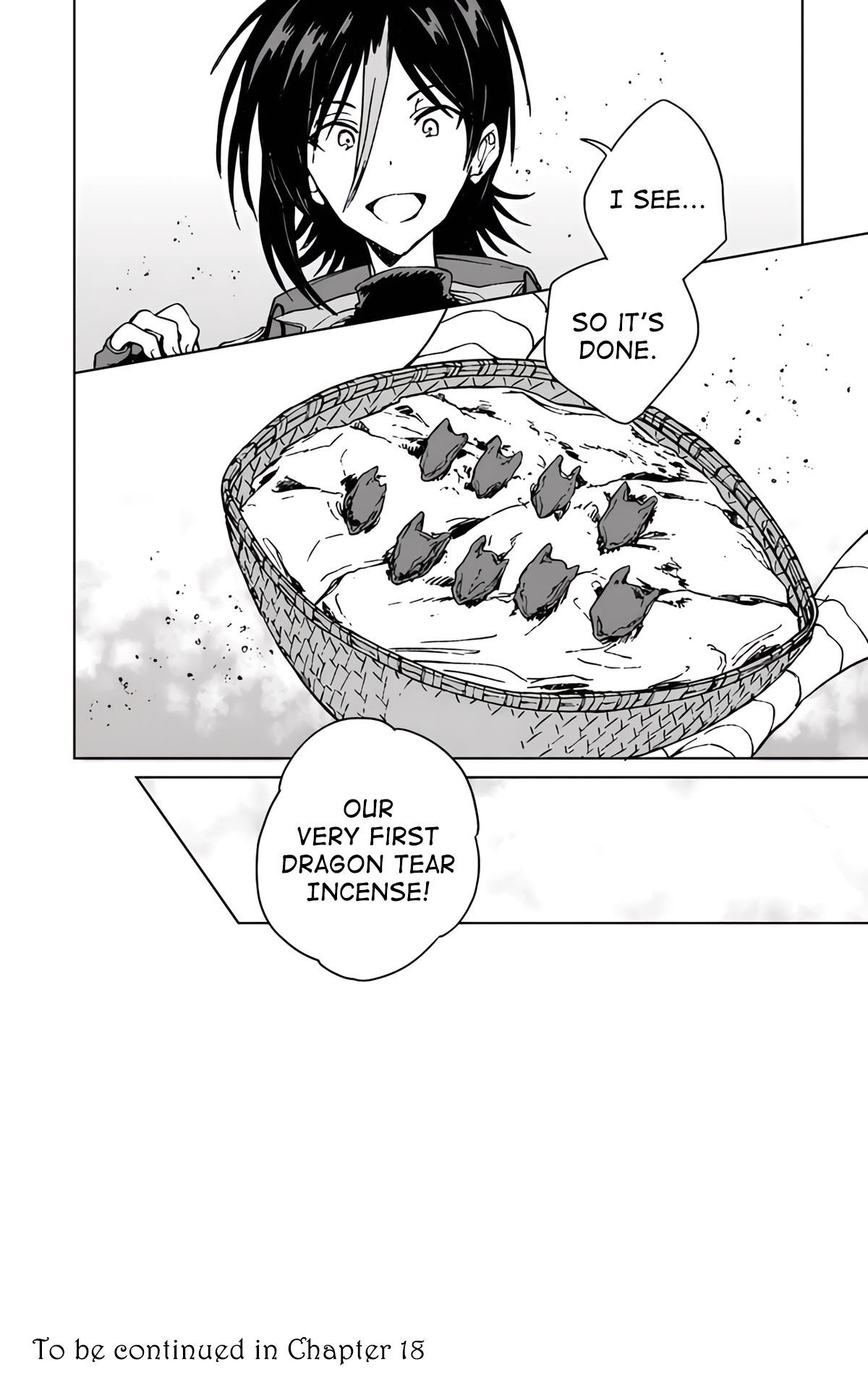 I’ve Been Kicked Out of an S-Rank Guild. But Only I Can Communicate With Dragons. Before I Knew It, I Became the Greatest Dragon Knight Chapter 17 - Page 27 in English