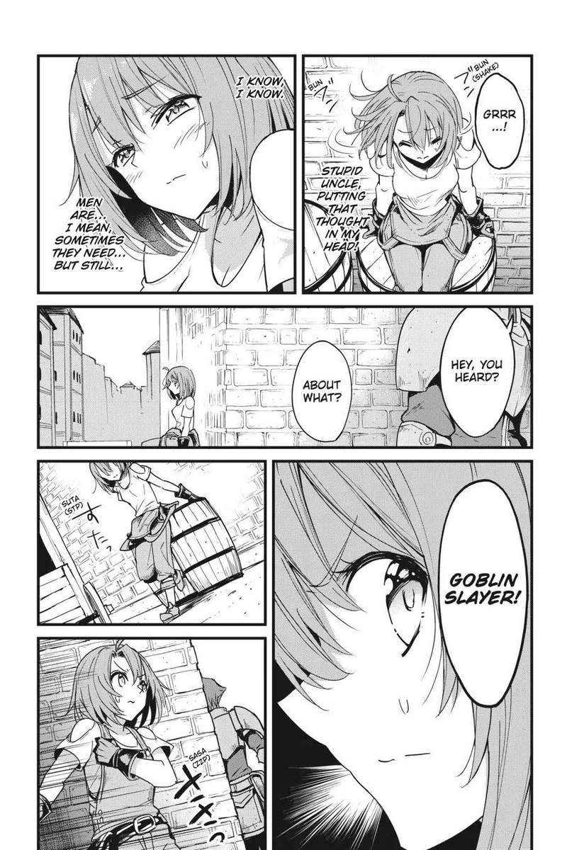 GOBLIN SLAYER: SIDE STORY YEAR ONE Chapter 32 - Page 17 in English