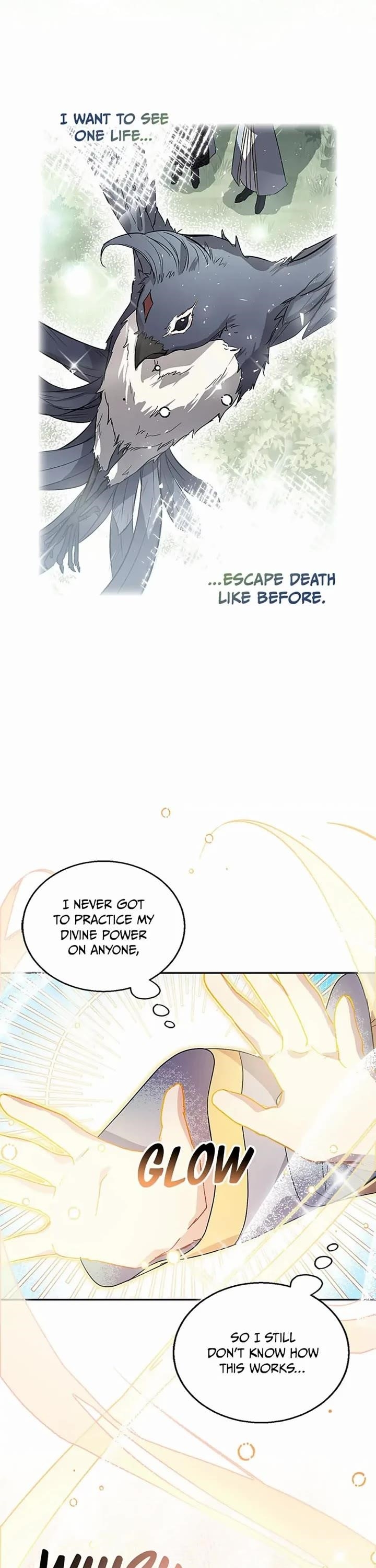 I’M A Fake Saintess But The Gods Are Obsessed Chapter 27 - Page 27 in English