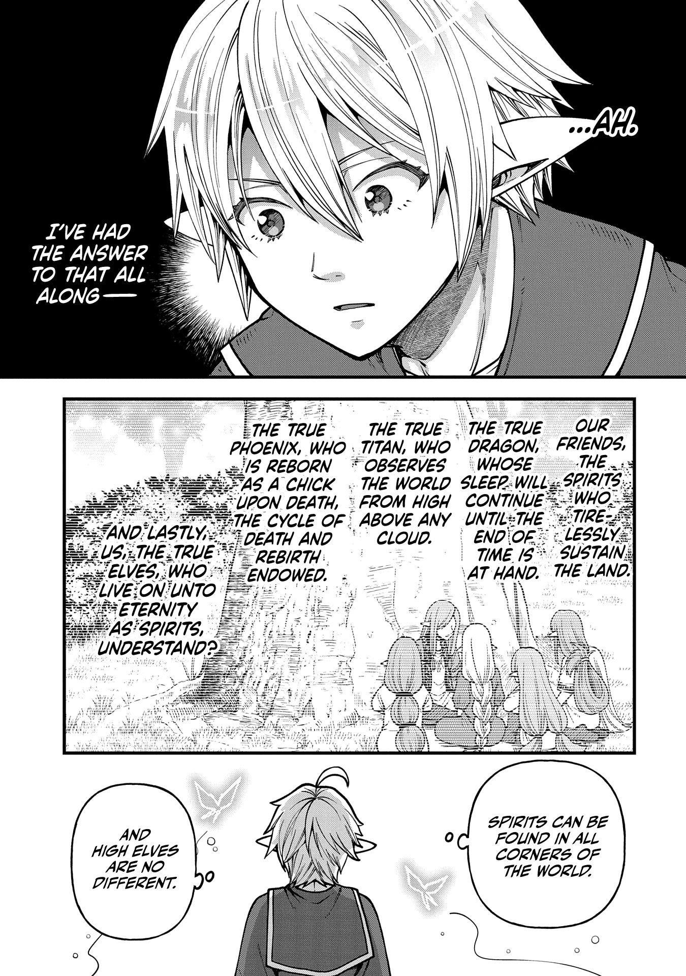 Growing Tired of the Lazy High Elf Life After 120 Years Chapter 29 - Page 27 in English
