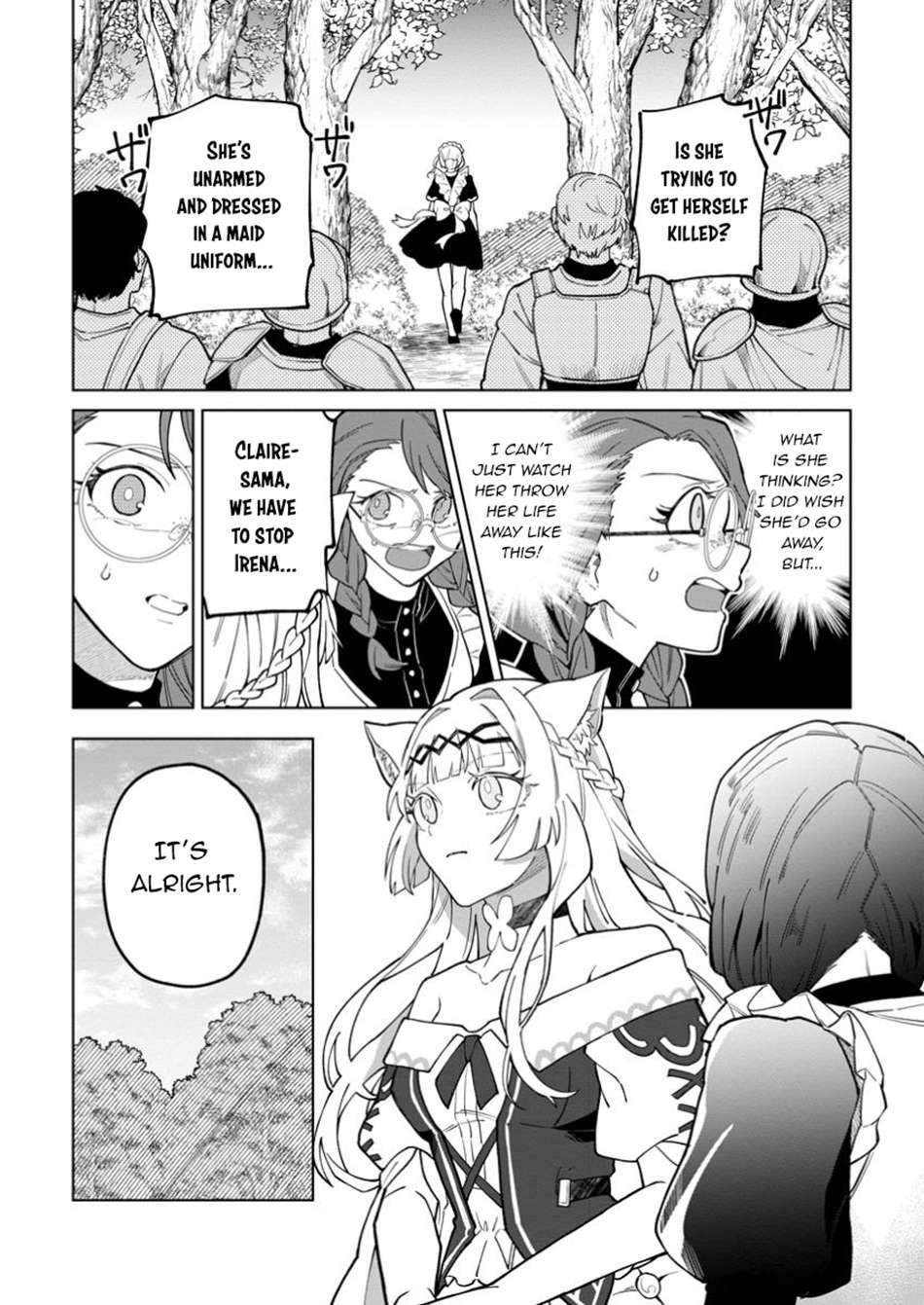 The White Mage Who Was Banished From the Hero’s Party Is Picked up by an S Rank Adventurer ~ This White Mage Is Too Out of the Ordinary! Chapter 43.1 - Page 13 in English