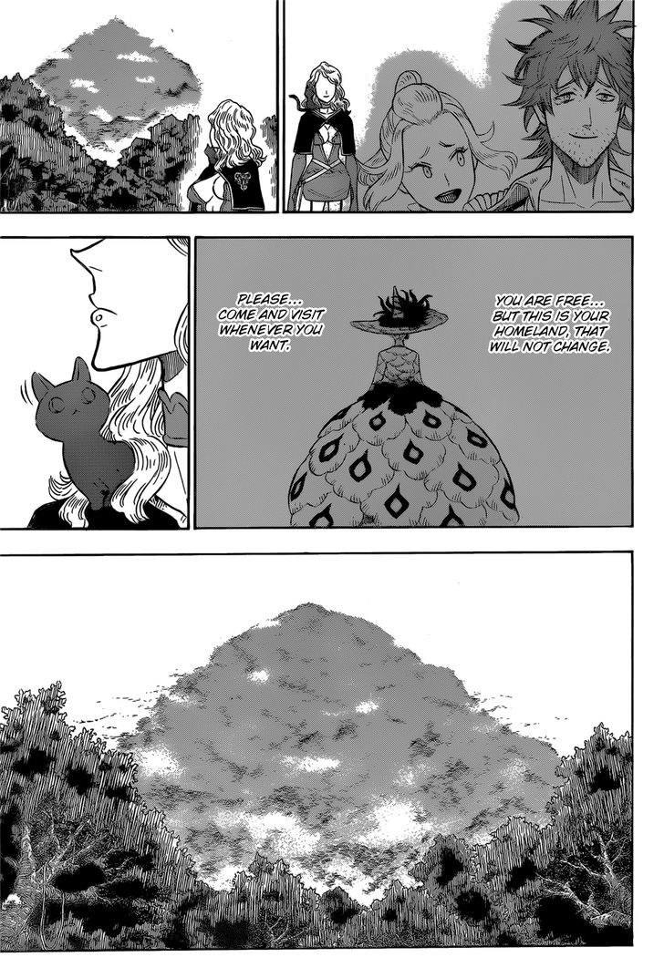 BLACK CLOVER Chapter 101 - Page 15 in English
