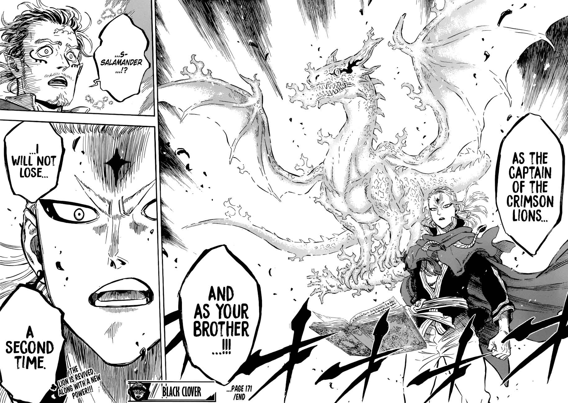 BLACK CLOVER Chapter 171 - Page 15 in English