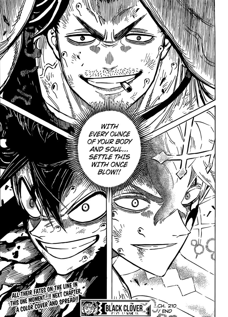 BLACK CLOVER Chapter 210 - Page 15 in English
