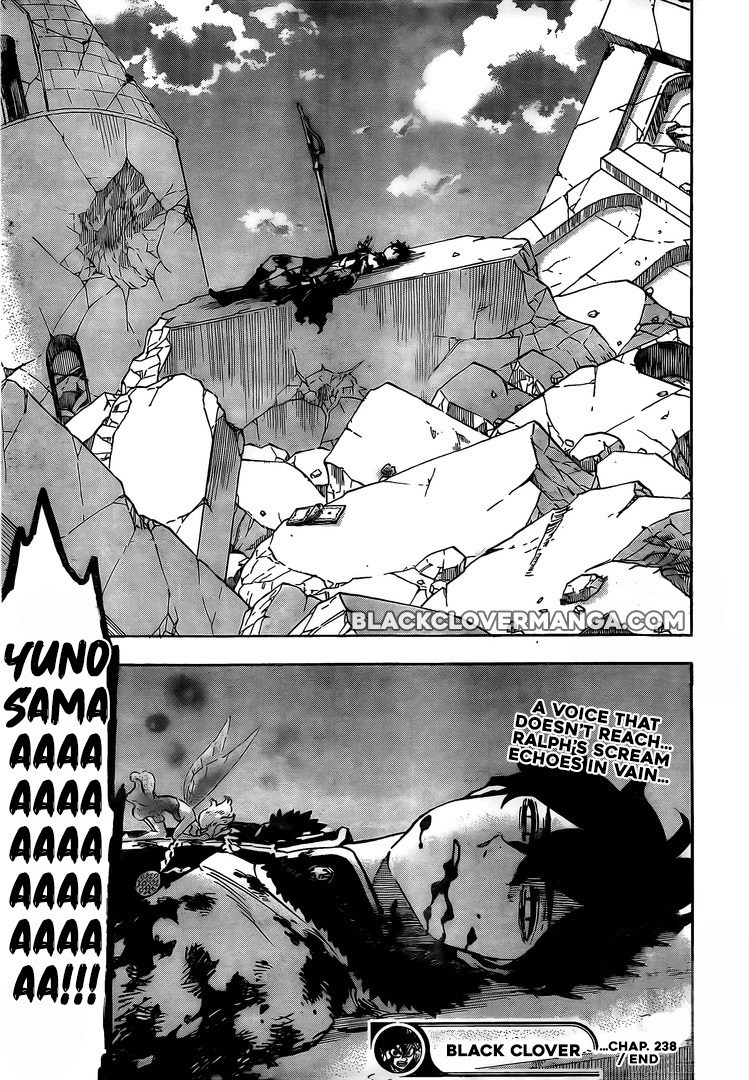 BLACK CLOVER Chapter 238 - Page 13 in English