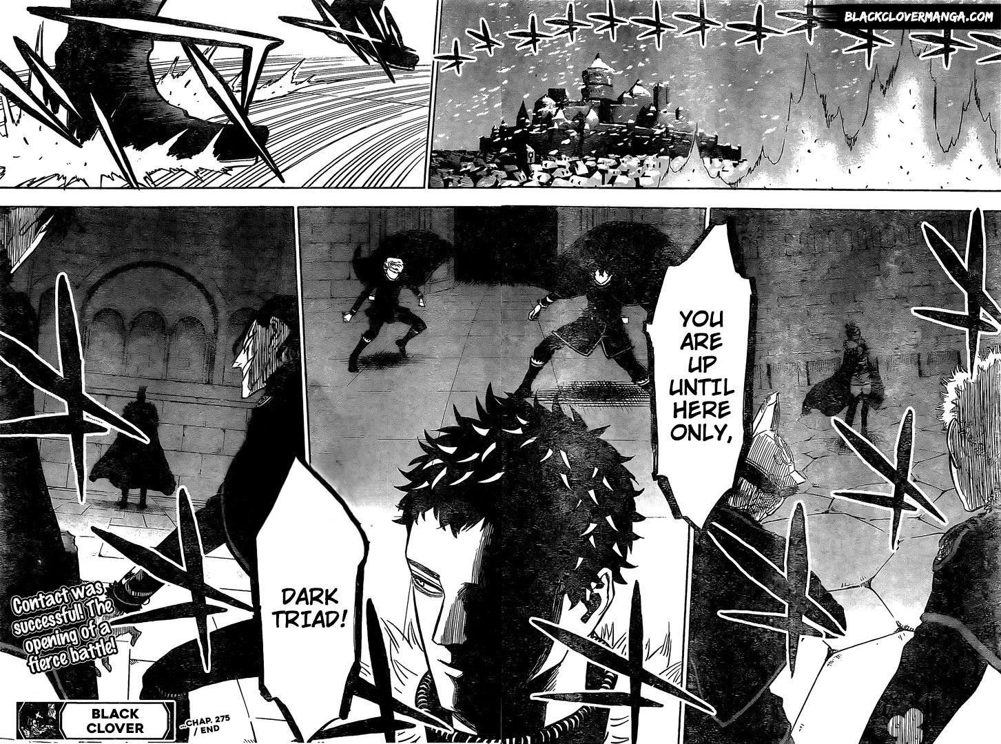 BLACK CLOVER Chapter 275 - Page 14 in English