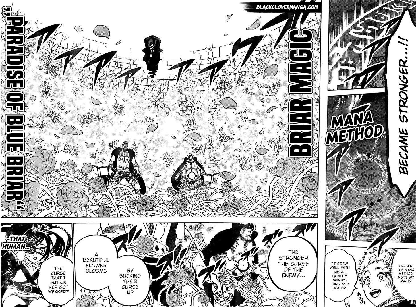 BLACK CLOVER Chapter 277 - Page 10 in English