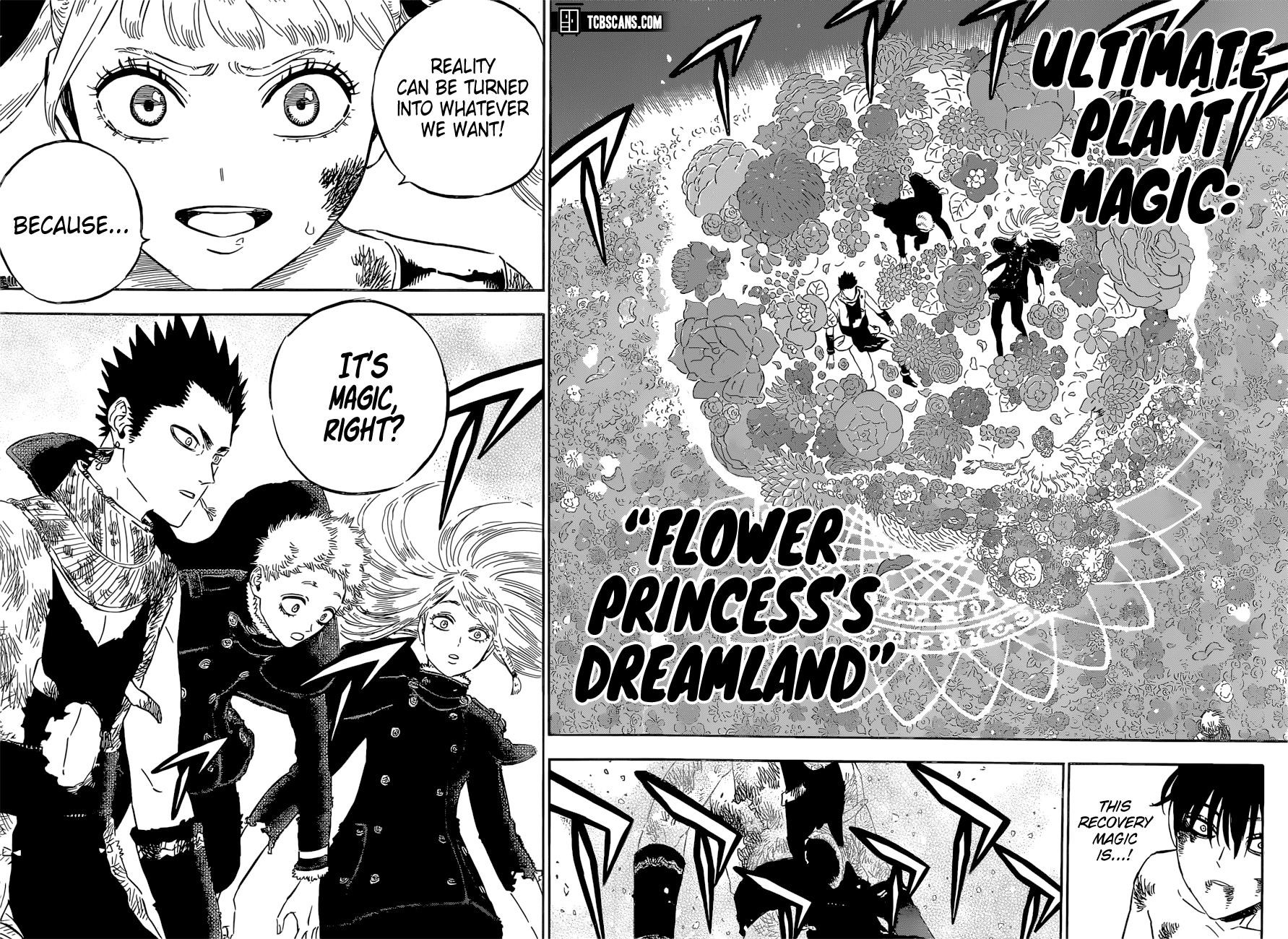BLACK CLOVER Chapter 304 - Page 10 in English