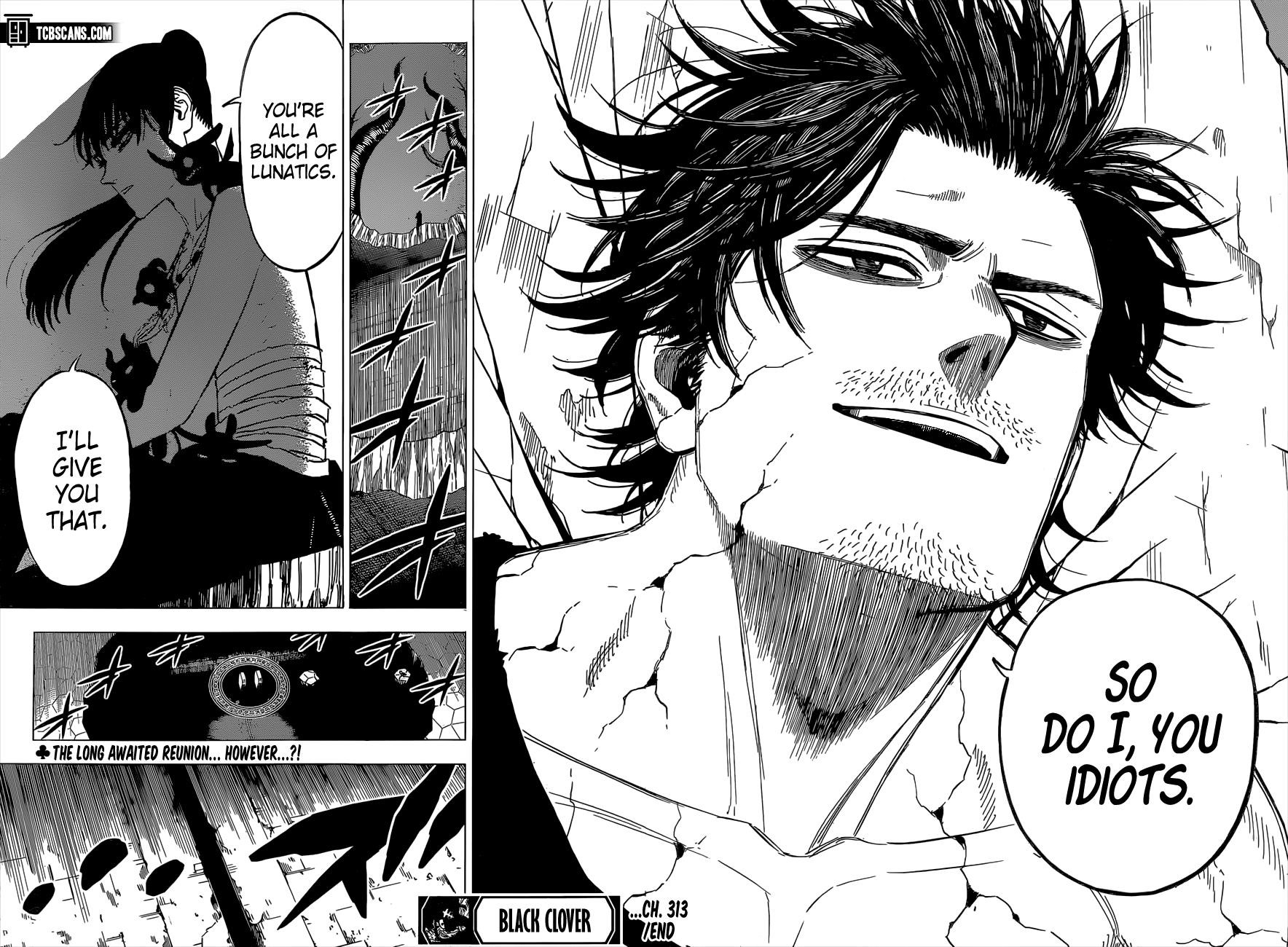 BLACK CLOVER Chapter 313 - Page 11 in English